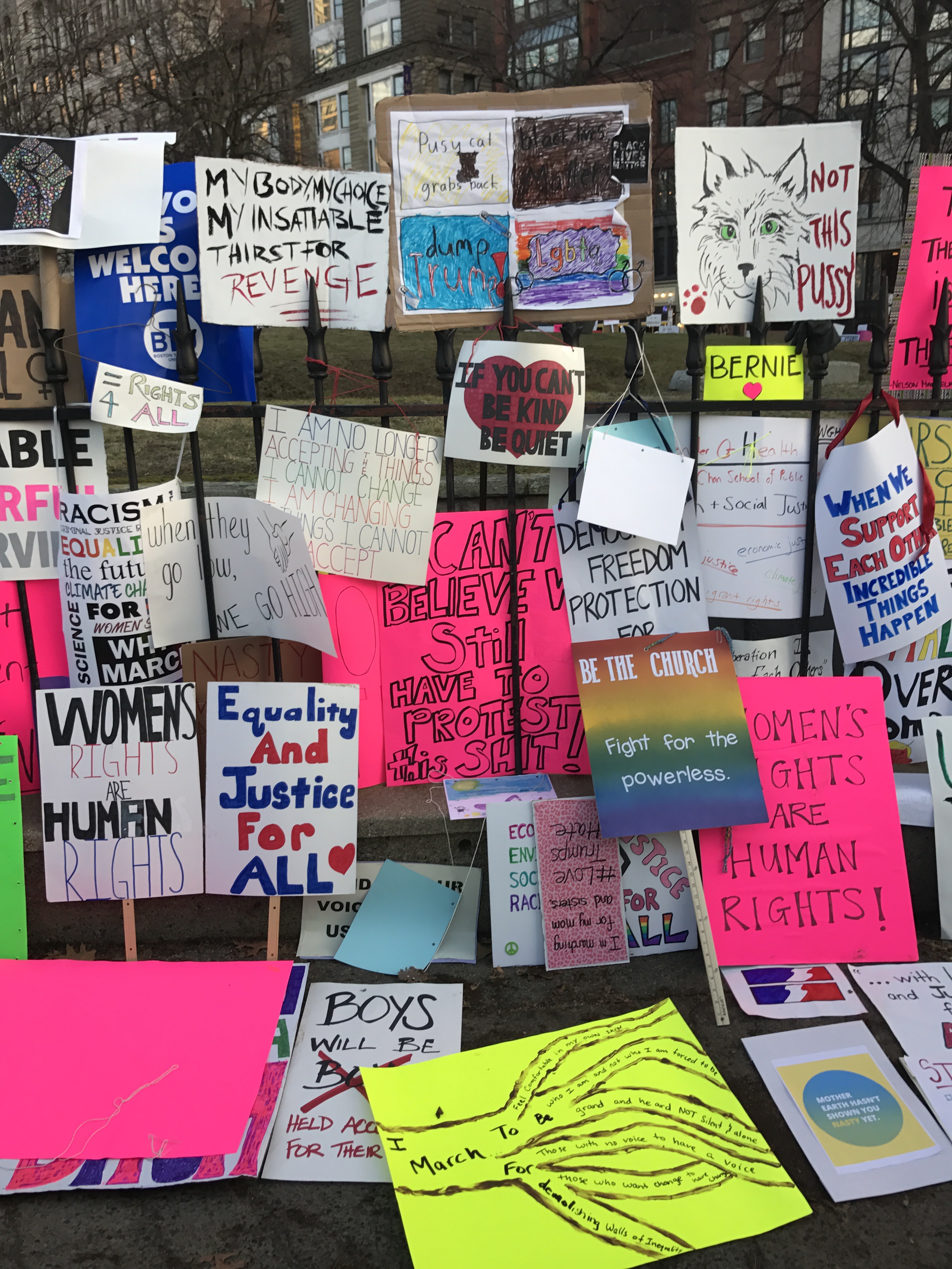 Boston Women's March