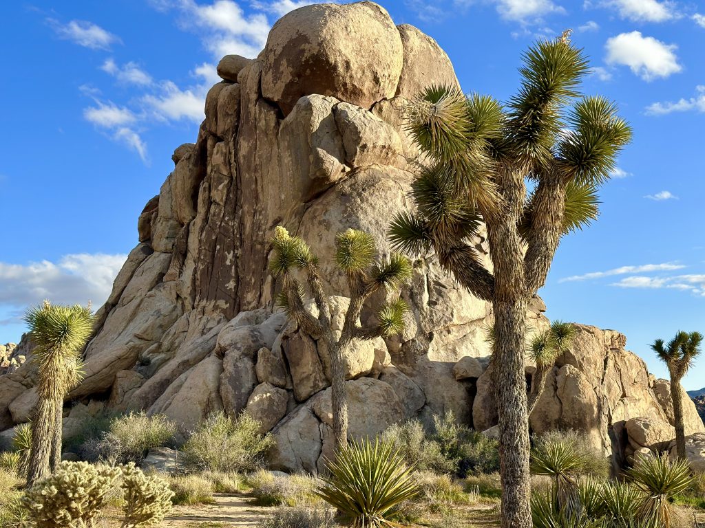 Joshua Tree National Park, California | How to Plan a Solo Cross-Country Road Trip | Feather & Flint